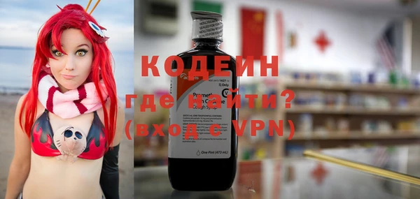 молекула духа Няндома