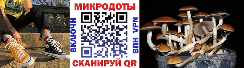 Псилоцибиновые грибы мицелий  Старый Оскол 